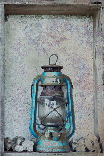 Jean Bradshaw Photography 