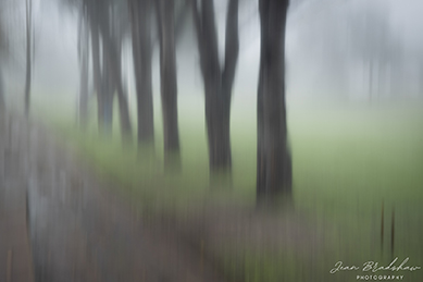 Jean Bradshaw Photography 