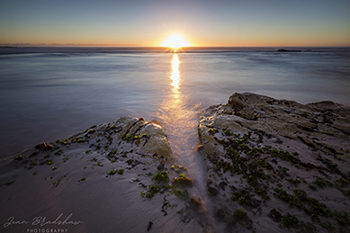 Jean Bradshaw Photography